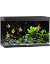 JUWEL Aquarium Rio 240 LED (2x29w) - Aquabota.com