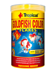 Goldfish Color TROPICAL - 1