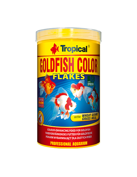 Goldfish Color TROPICAL - 1