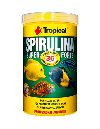 Super Spirulina Forte 250ml TROPICAL - 1
