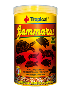 Gammarus Tropical TROPICAL - 1