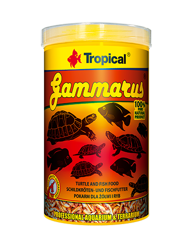 Gammarus Tropical TROPICAL - 1