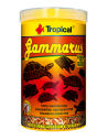 Gammarus Tropical TROPICAL - 1