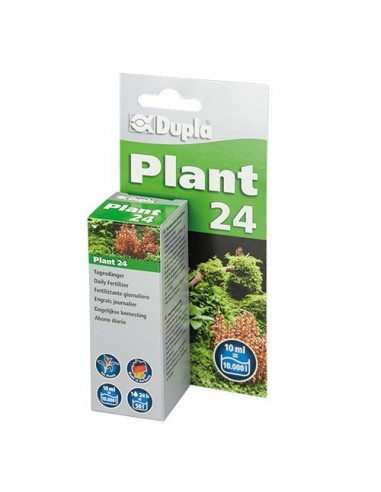 Plant 24 Dupla DUPLA - 5