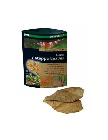 Nano Badamier (CATAPPA Leaves) 12p Dennerle Dennerle - 1