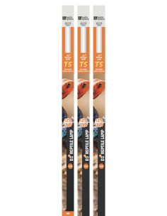 As Reptile D3+ Pro T5 12% 850 Mm/39w AquariumSystems - 1