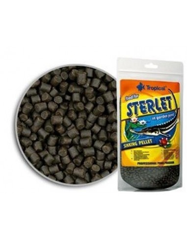 Sterlet 650grs Tropical TROPICAL - 1
