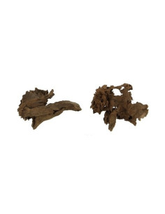 Mangrove Wortel XS 12-15cm Hobby HOBBY - 2