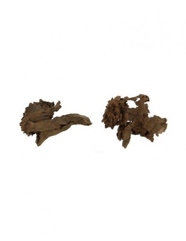 Racine Mangrove XS 12-15cm Hobby HOBBY - 2
