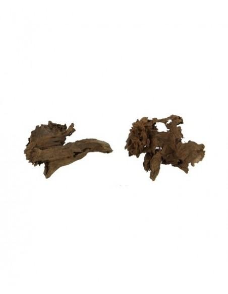 Mangrove Wortel XS 12-15cm Hobby HOBBY - 2
