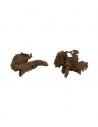 Mangrove Wortel XS 12-15cm Hobby HOBBY - 2