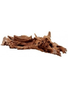 Racine Mangrove M 25-35cm Hobby HOBBY - 2