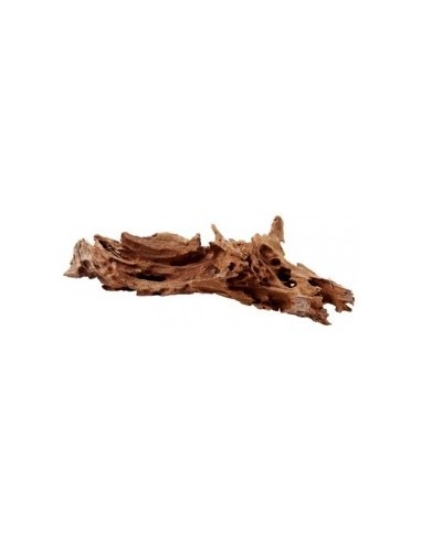 Racine Mangrove M 25-35cm Hobby HOBBY - 2