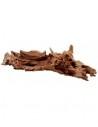 Mangrove Wortel M 25-35cm Hobby HOBBY - 2