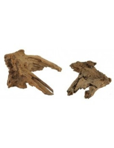Racine Mangrove L 40-55cm Hobby HOBBY - 2