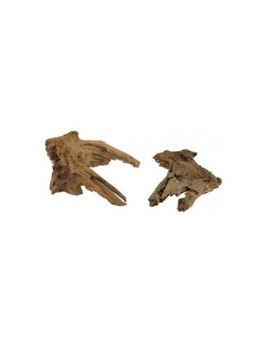 Mangrove Wortel L 40-55cm Hobby HOBBY - 2