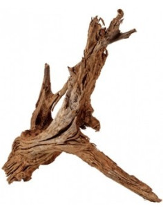 Racine Mangrove XL 60-70cm Hobby HOBBY - 2