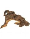 Mopani Root S 15-25cm Hobby HOBBY - 2