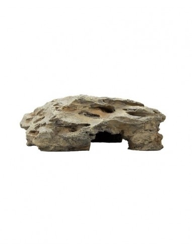 Kammengrot 2 22,5 x 12,5 x 7,5 cm Hobby HOBBY - 1