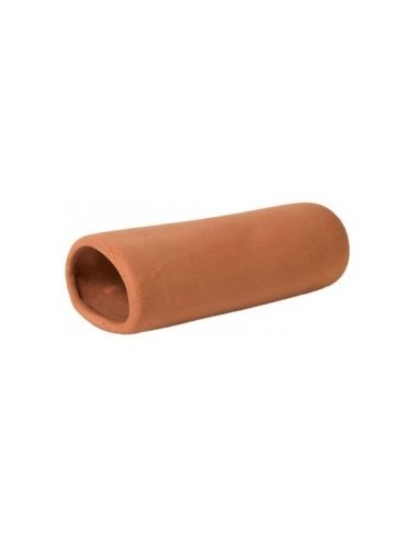 Catfish Cave Red M HOBBY - 1