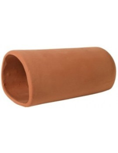 Catfish Cave Red L HOBBY - 1