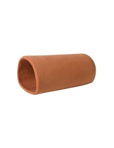 Catfish Cave Red L HOBBY - 1