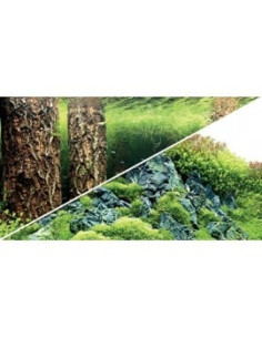 Poster Scaper's Hill/Forest HOBBY - 1