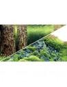 Poster Scaper's Hill/Forest HOBBY - 1