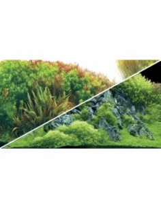 Poster Planted River/Green Rocks HOBBY - 1