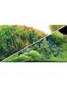 Poster Planted River/Green Rocks HOBBY - 1