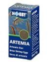 Oeufs d'artemia Hobby HOBBY - 1