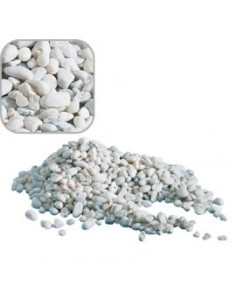 Gravier Naturel Noa Blanc Gros 1kg AMTRA - 1