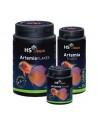 Hs Aqua Artemia Flakes HS aqua - 1