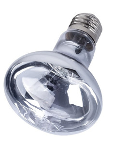 Lampe Neodium Daylight 100w Reptizoo Reptizoo - 1