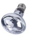 Lampe Neodium Daylight 75w Reptizoo Reptizoo - 1