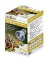 Lampe Neodium Daylight 50w Reptizoo Reptizoo - 3
