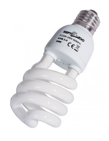 Lampe Daylight Fluorescent 26w Reptizoo Reptizoo - 2