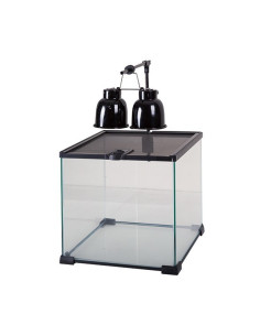 Mini Combo Dome pour lampe en céramique Reptizoo Reptizoo - 5
