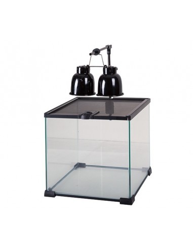 Mini Combo Dome pour lampe en céramique Reptizoo Reptizoo - 5