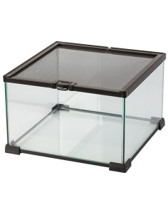 Terrarium 31x31x20cm Reptizoo Reptizoo - 2