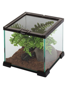 Terrarium 21x21x20cm Reptizoo Reptizoo - 2