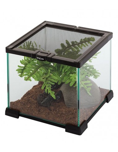 Terrarium 21x21x20cm Reptizoo Reptizoo - 2