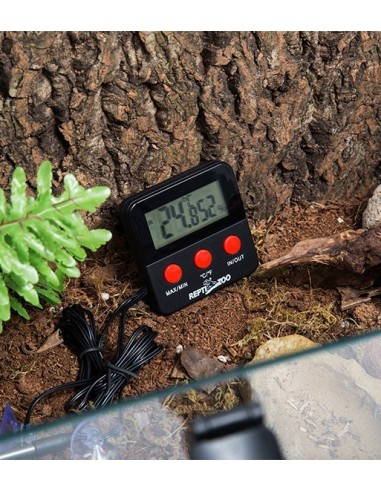 Thermometre + Hygrometre Digital avec Sonde Reptizoo Reptizoo - 2