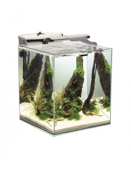 Aquarium Fish & Shrimp Set Duo 49L AQUAEL - 1