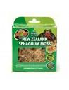 New Zealand Moss 1.31l ZOOMED - 1