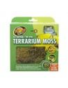 Terrarium Moss L 2.3l ZOOMED - 1