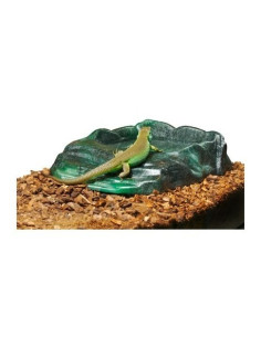 Vasque Repti Ramp Bowl L ZOOMED - 1