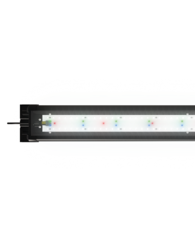HeliaLux Spectrum Juwel JUWEL - 2
