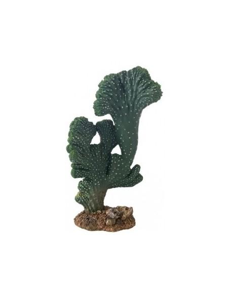 Cactus Victoria (2)  22cm Hobby HOBBY - 1