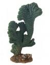 Cactus Victoria (2)  22cm Hobby HOBBY - 1